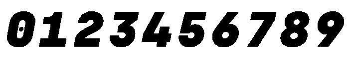 SilkaMono BlackItalic Font OTHER CHARS