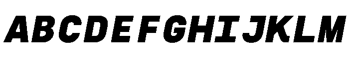 SilkaMono BlackItalic Font UPPERCASE