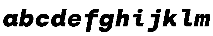 SilkaMono BlackItalic FONT