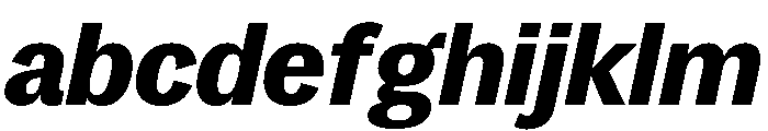 SitaSans Web BlackItalic FONT