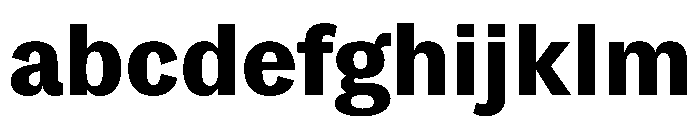 SitaSans Web Black FONT