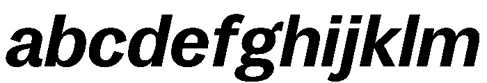 SitaSans Web BoldItalic FONT