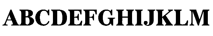SitaSerif Web Black Font UPPERCASE