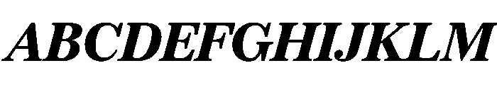 SitaSerif Web BlackItalic Font UPPERCASE