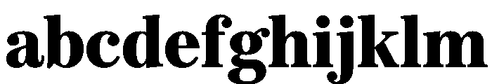 SitaSerif Web Black FONT