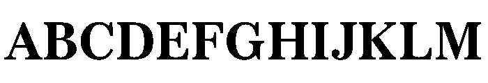 SitaSerif Web Bold Font UPPERCASE