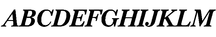 SitaSerif Web BoldItalic Font UPPERCASE