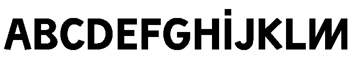 Sixten Bold Instance Font UPPERCASE