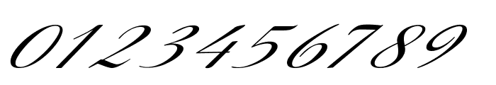 Silvero-ExtraexpandedItalic Font OTHER CHARS