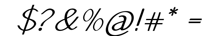 SinsureItalic Font OTHER CHARS