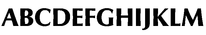 Skeena Heavy Font UPPERCASE