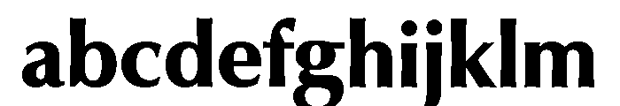 Skeena Heavy FONT