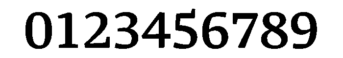 Skolar Pe Variable Bold Font OTHER CHARS