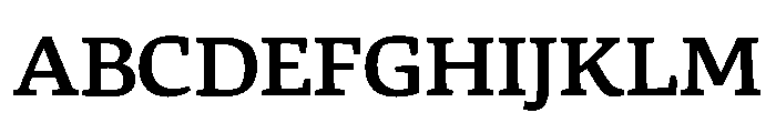 Skolar Pe Variable Bold Font UPPERCASE