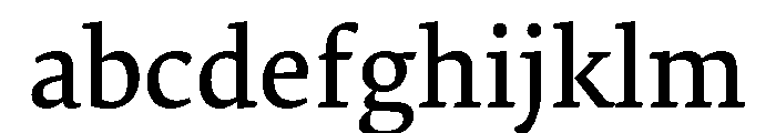 Skolar Pe Variable Medium FONT