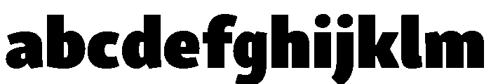 Skolar Sans Hebrew Heavy FONT