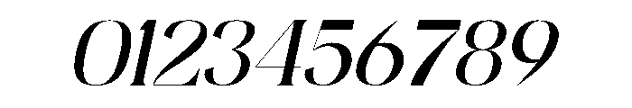 Skinova Italic Font OTHER CHARS