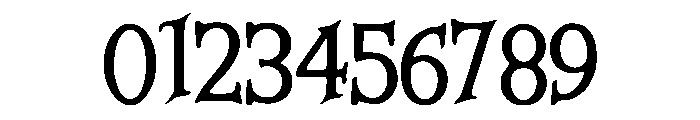 Skipping Font OTHER CHARS