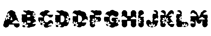 Skyflower Regular FONT