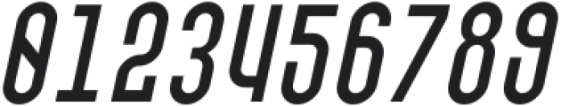 SK Barbicane Unicase Light Italic ttf (300) Font OTHER CHARS