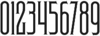 Skyward Serif otf (400) Font OTHER CHARS