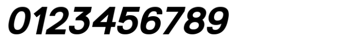 SK Reykjavik Bold Italic Font OTHER CHARS