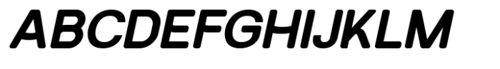SK Reykjavik Rounded Bold Italic Font UPPERCASE