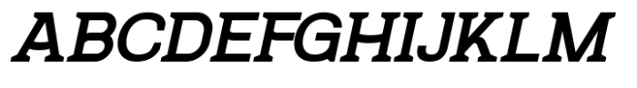 SK Reykjavik Slab Medium Italic Font UPPERCASE