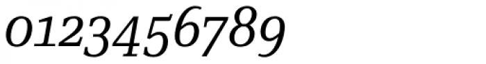 Skopex Serif Italic Caps Font OTHER CHARS