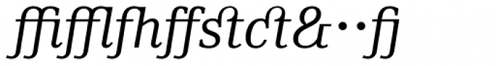 Skopex Serif Italic Expert Font OTHER CHARS