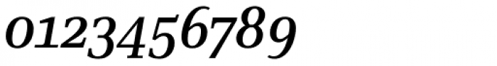 Skopex Serif Med Italic Caps Font OTHER CHARS