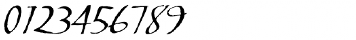 Skylark Std Italic Font OTHER CHARS