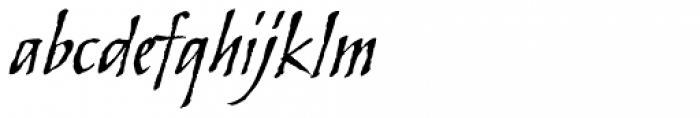 Skylark Std Italic Font LOWERCASE
