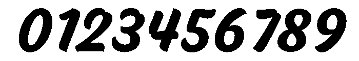 Skew Bold Instance Font OTHER CHARS