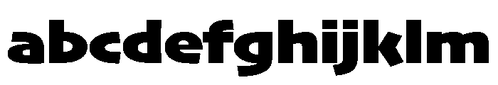 Skia CC Wide Black FONT