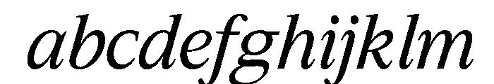 Slingera Med Cond Ita FONT