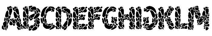 Slip Slap FONT