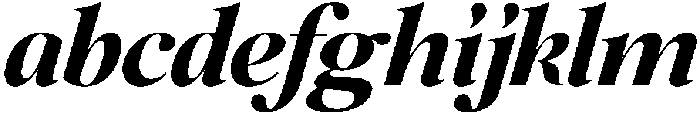 SLTF Netsera Black Italic otf (900) FONT