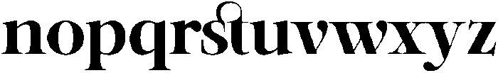 SLTF Netsera Black otf (900) Font LOWERCASE