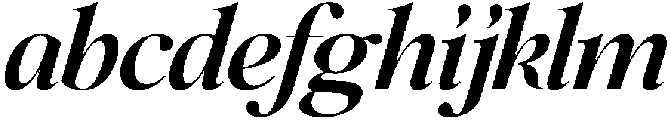 SLTF Netsera Bold Italic otf (700) FONT