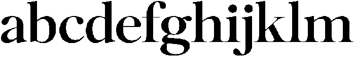 SLTF Netsera Bold otf (700) FONT