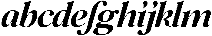 SLTF Netsera ExtraBold Italic otf (700) FONT