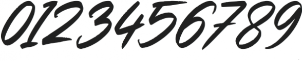 Slash Signature otf (400) Font OTHER CHARS