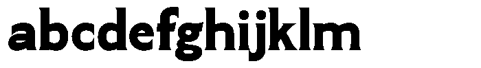 SLTF Arcilla Black FONT