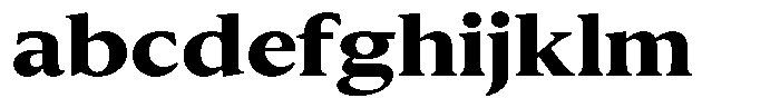 Slingora Black Expanded FONT