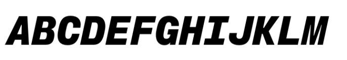 Slussen Mono Black Italic Font UPPERCASE