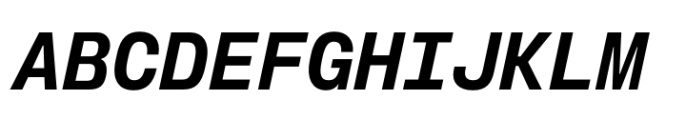 Slussen Mono Bold Italic Font UPPERCASE