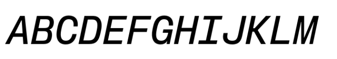 Slussen Mono Medium Italic Font UPPERCASE