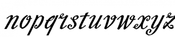Slutsker Script Bold Font LOWERCASE