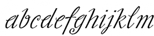 Slutsker Script Regular FONT